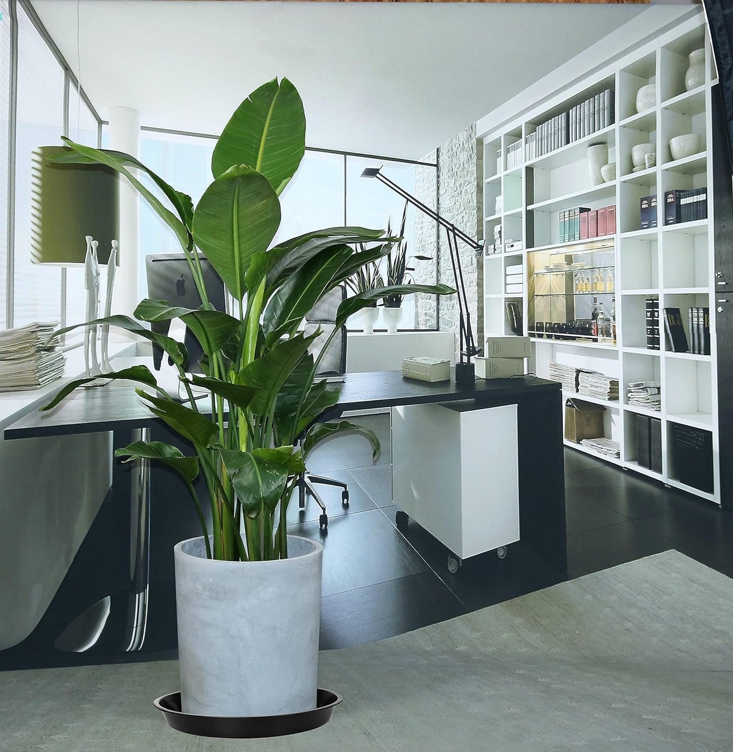 6 Platillos Plástico 16" para Macetas Interior