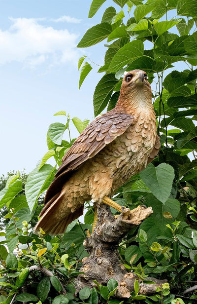 Estatua halcón salvaje pie en rama jardín