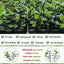 Paneles césped artificial 10x10pulg para pared