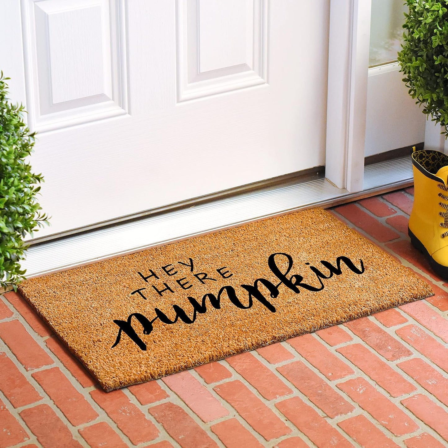 Felpudo Hey There Pumpkin 17x29pulg Marrón/Negro