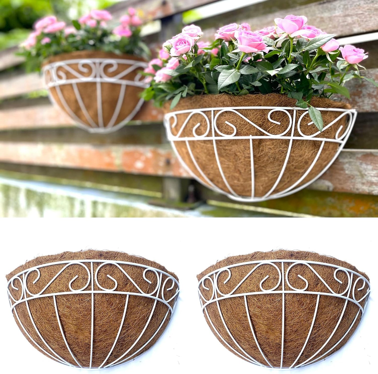Cestas flores pared 14pulg soporte metal blanco forro coco