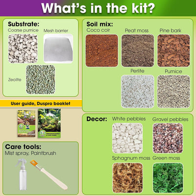 Kit Terrario Reciclable para Niños con Tierra y Musgo