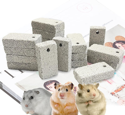 18 Pzas Mordeduras Lava Piedra Calcio para Hámster Chinchilla