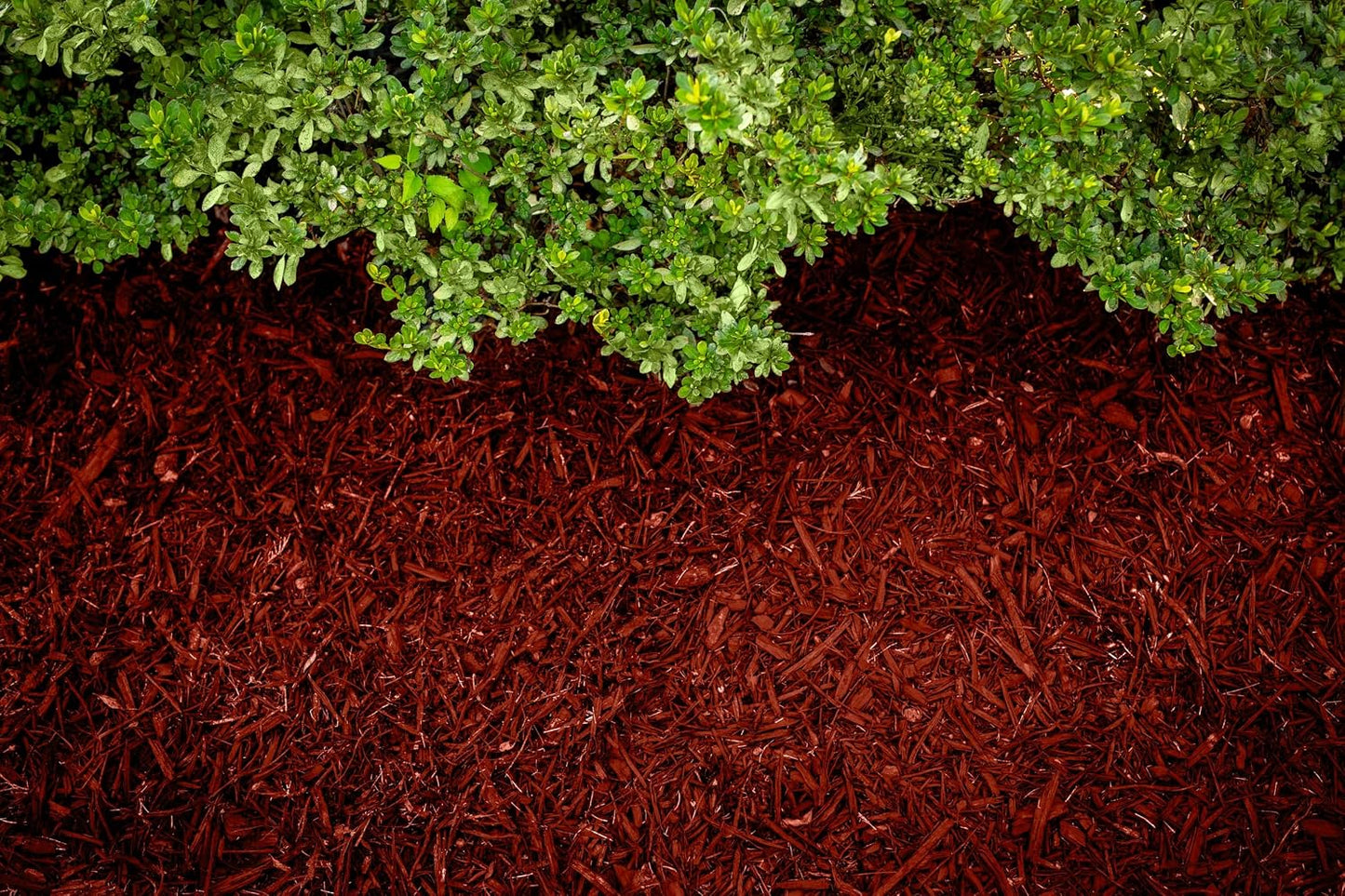 Tinte mantillo rojo 6400 pies2 para jardín 1/2 galón