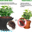 Bolsas cultivo 2gal pack 10 con asas tela resistente