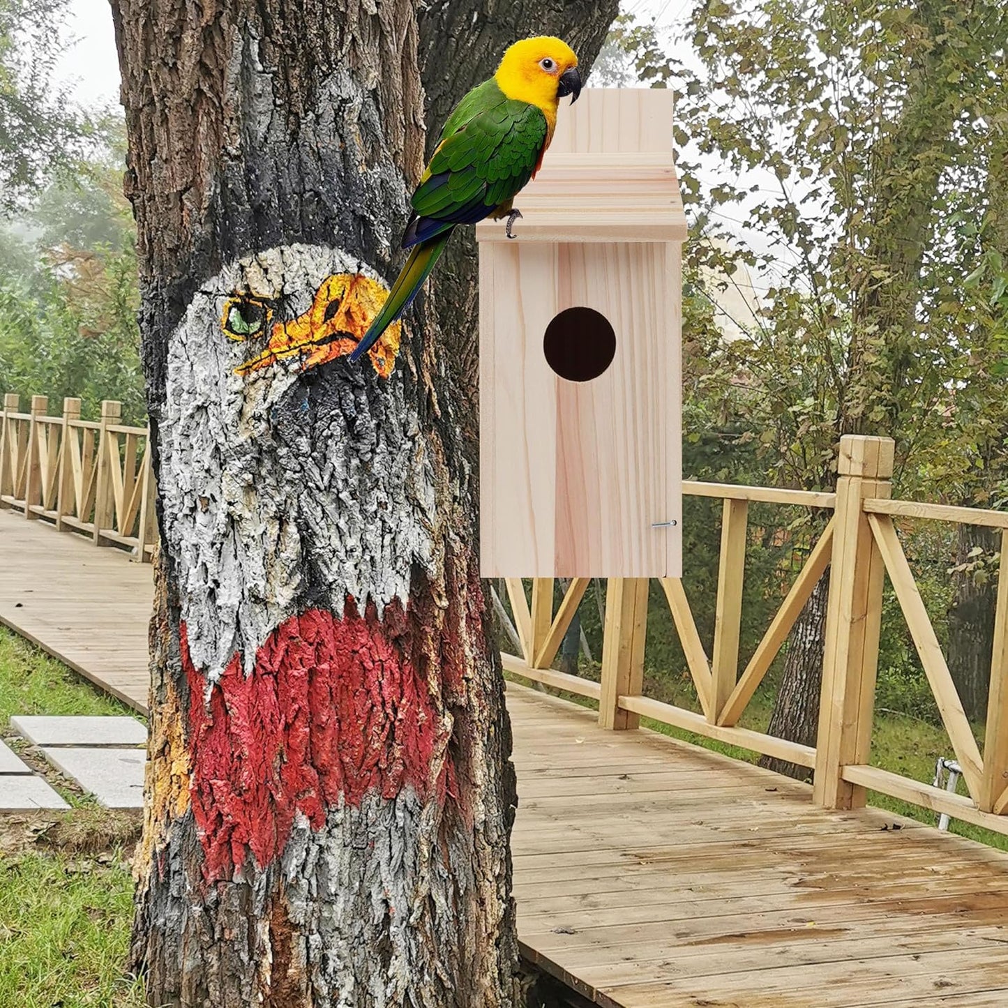 Casas para pájaros de madera cedar para exterior