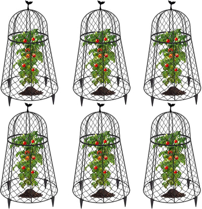 6 Cloches de alambre para plantas 13pulg