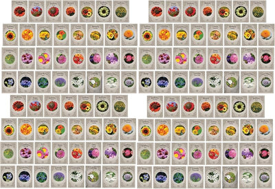 Set 124 pack semillas flores premium sin OMG EE.UU.