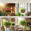 Cesta colgante para flores con cadena decorativa