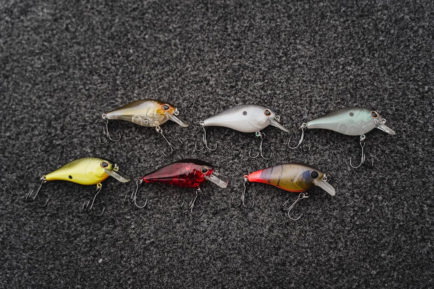 Squarebull Gilly 5.5