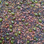 Mezcla brotes ensalada 1lb brócoli alfalfa rábano mungo