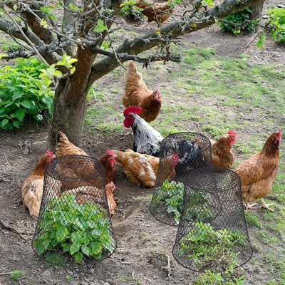 20 Pzas Alambre Pollo 9pulg Cubierta Metal Jardín Con Estacas