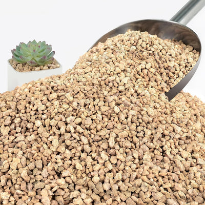 Piedras doradas para suculentas 6lb guisantes 1/8-1/4"