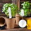 Etiquetas plástico 4pulg para plantas jardín 400uds