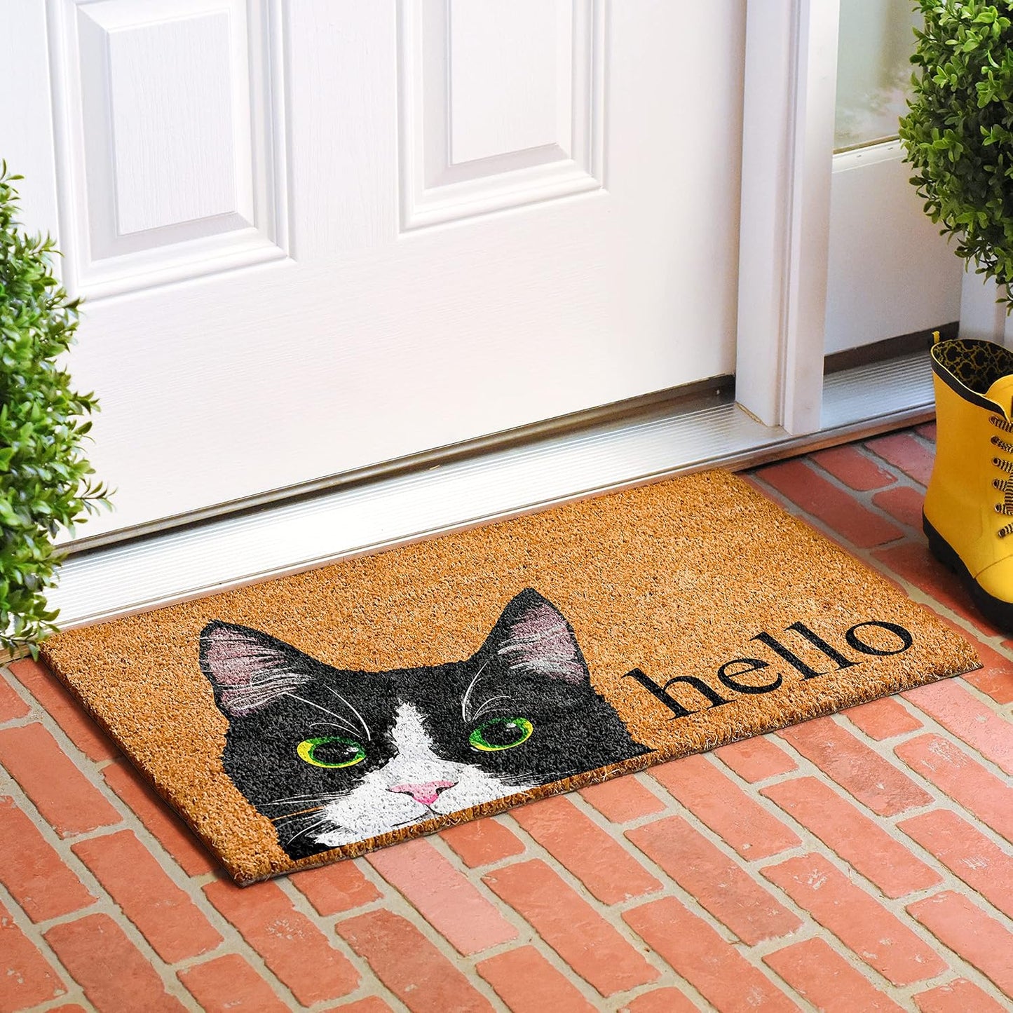 Felpudo gato tuxedo blanco y negro 24x36