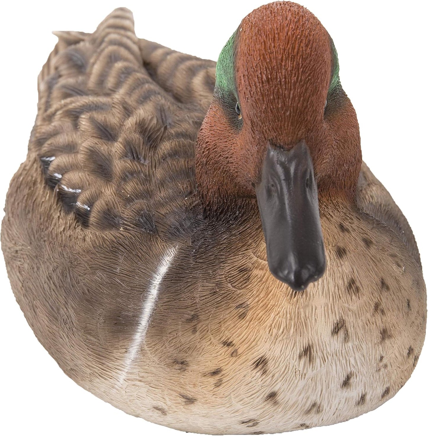 Mallard Grande con Ala Verde para Piscinas y Jardín