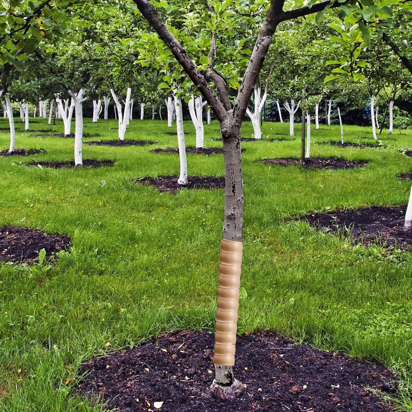 20 Protectores Plástico Tronco Árbol Espiral Marrón