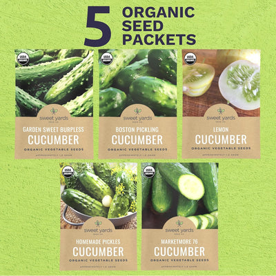 Paquete 5 semillas pepino orgánico Marketmore 76 y más para plantar