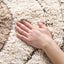 Alfombra área 5'3"x7'6" diseño Ogee color crema y humo