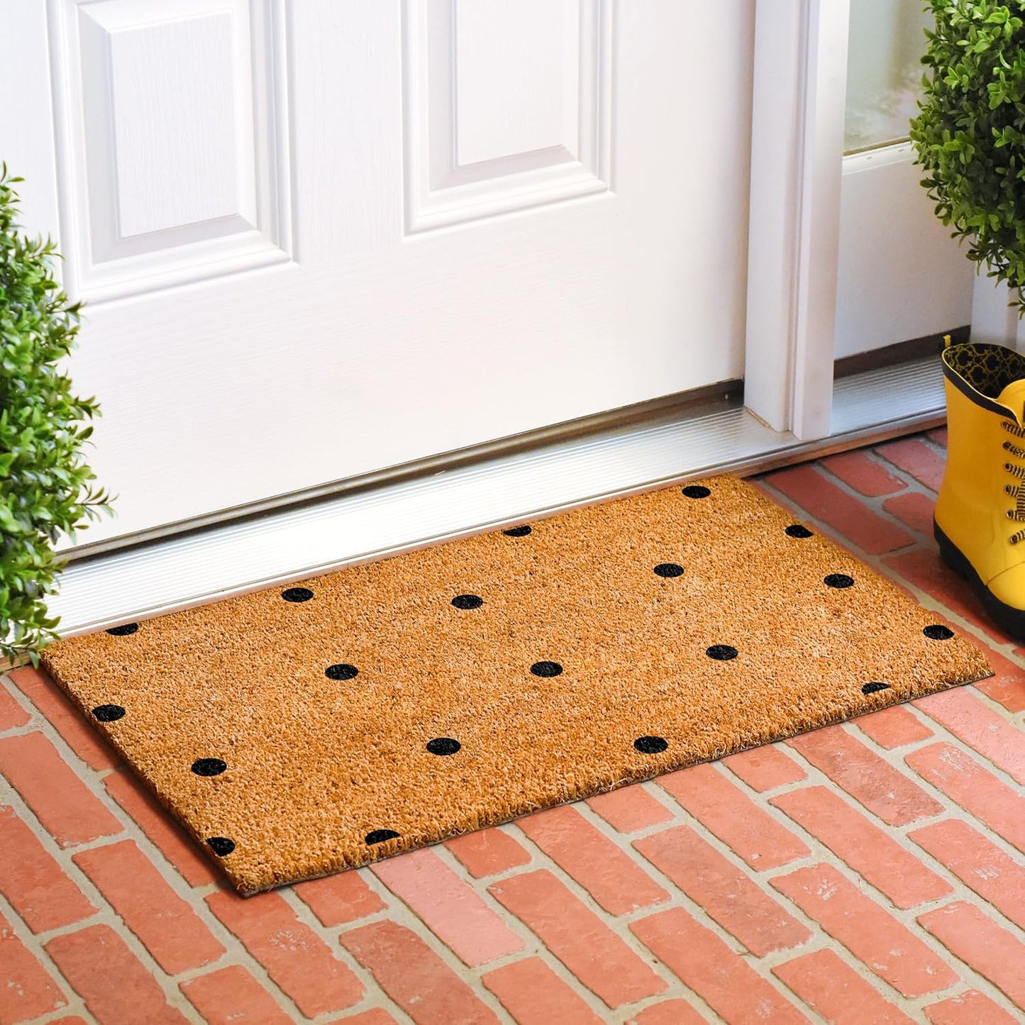 Felpudo negro con lunares 17x29pulg