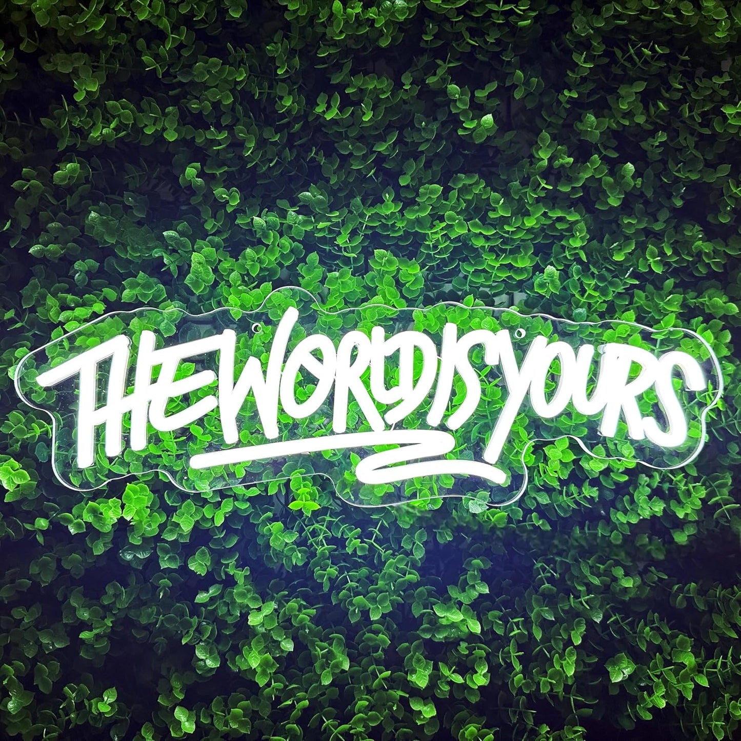 Letrero neón LED «the world is yours» USB regulable para