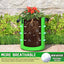 Bolsas cultivo papas 10gal set 6 solapa transpirable