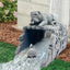 Estatua perro decorativa para canalón 3x4