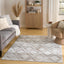 Alfombra gris 4x6ft fácil de limpiar para dormitorio y sala