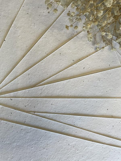 25 Pzas Papel semilla plantable A5 con flores silvestres