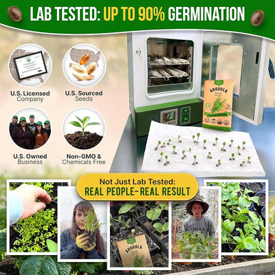 Paquete semillas arúgula 5g 2900 unidades sin OGM
