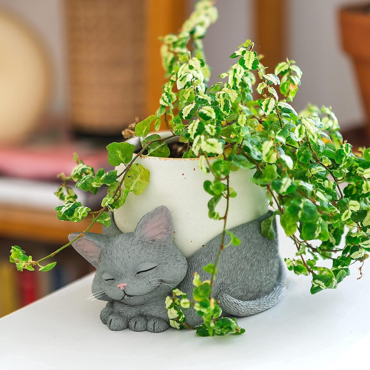 Cuenco resina gatos soporte baratijas decoración