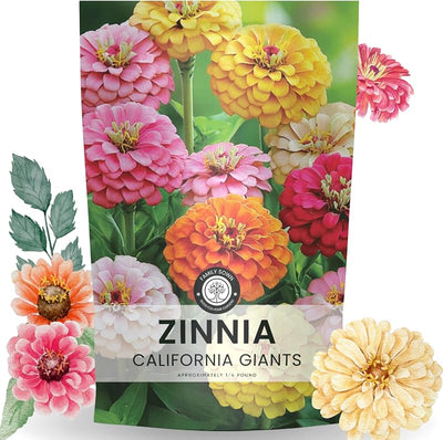 Bolsa 1/4 libra semillas Zinnia California Giants