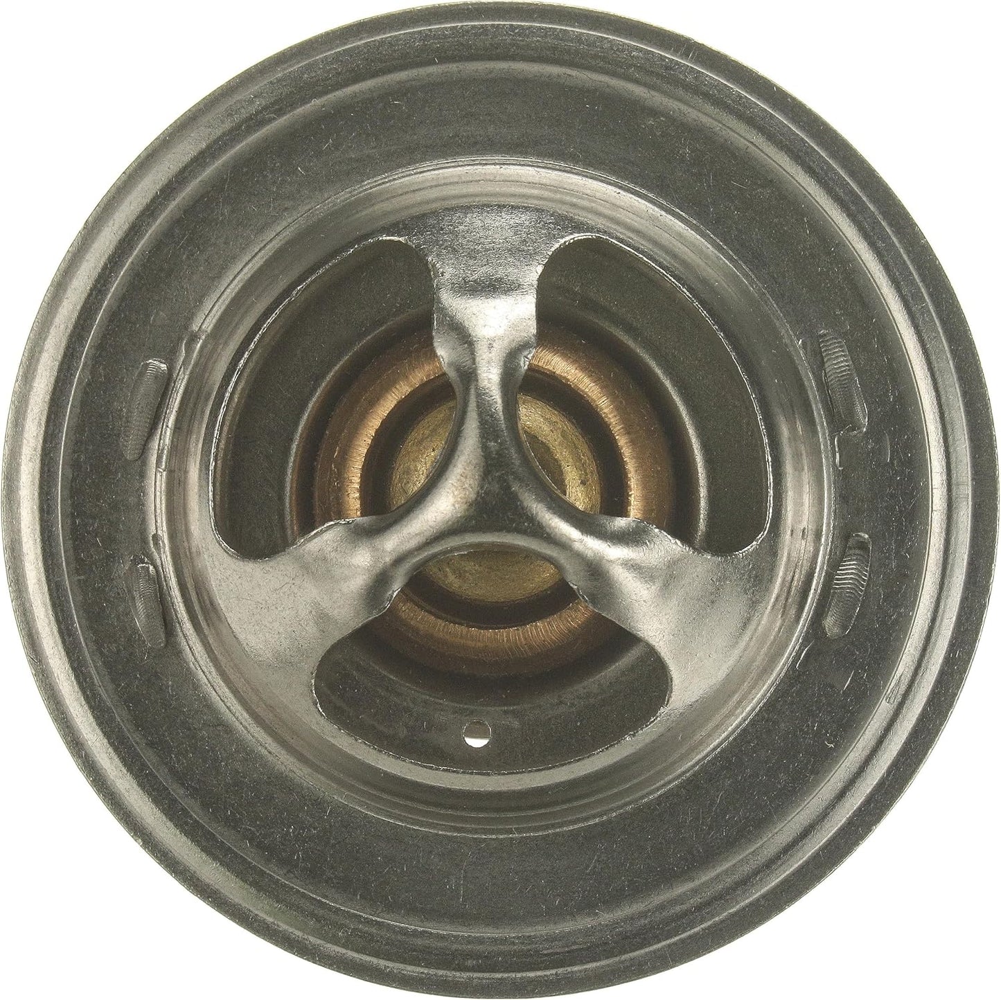 Termostato 33913 para Calentador de Agua con Control Preciso