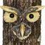 Abrazador árbol cara de búho decoración patio jardín