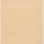 Alfombra lavable exterior 2x3'7" dorado beige no pelusa