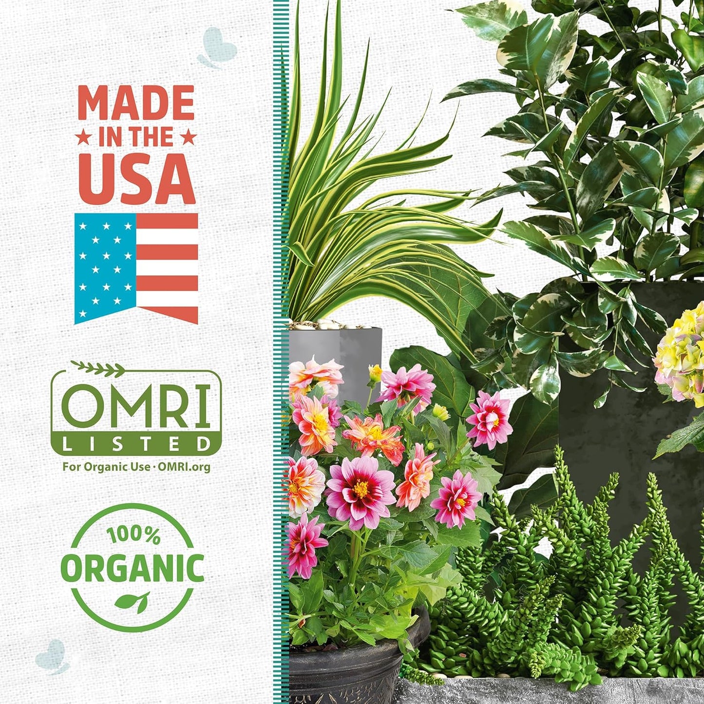 Perlita orgánica 24qt para plantas interior y exterior