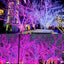 Cadena luces LED Halloween 98.5ft 8 modos impermeable