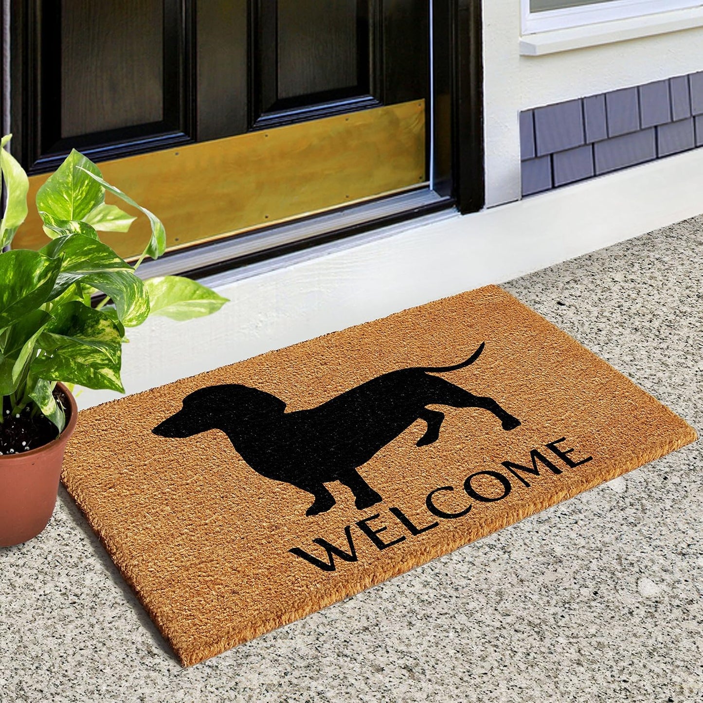 Felpudo Dachshund 17x29 natural/negro