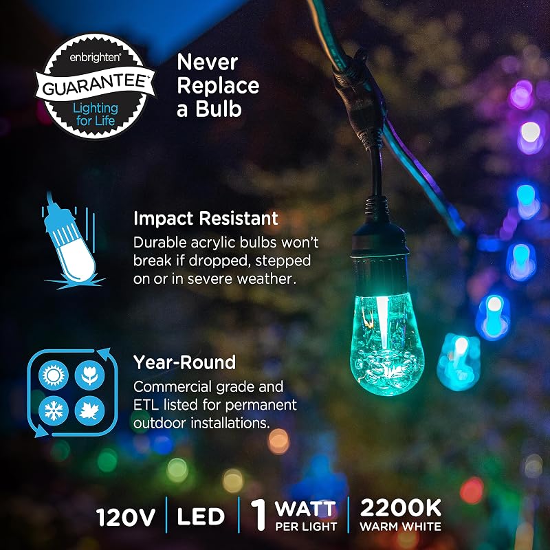 Cadena luces LED blanco cálido 24pies 12 focos