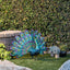 Estatua metal pavorreal exterior 22pulg multicolor