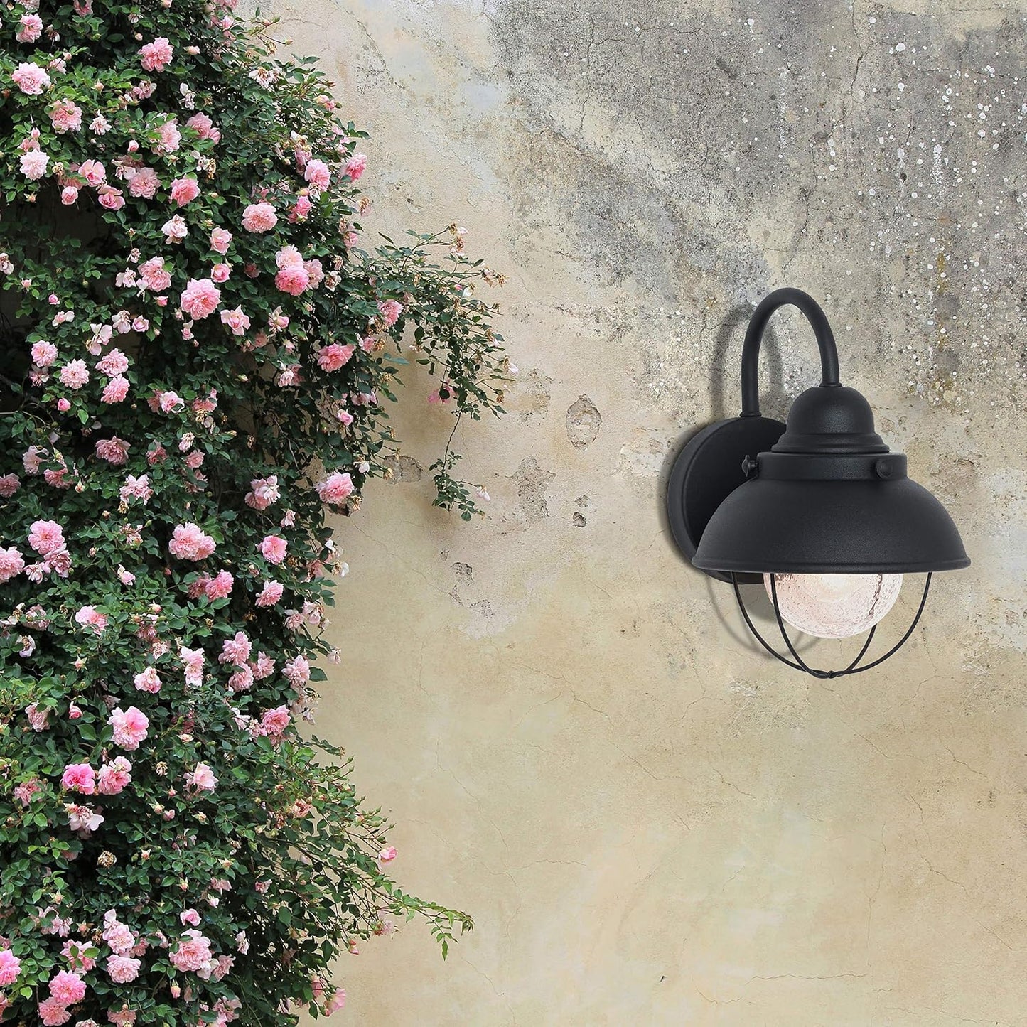 Farol pared exterior vidrio transparente negro 11.25pulg