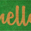 Felpudo Verde de 24x36" para Entrada de Casa